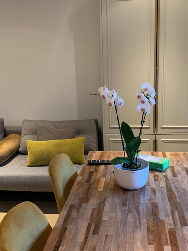 Others 4, B&B Florapark, Haarlem
