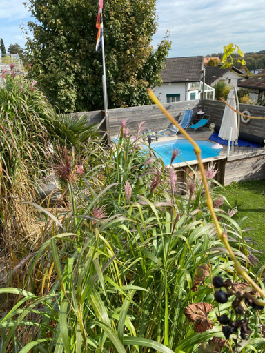 Exterior & Views 2, Chez Sven - Studio 'Le Petit', Wasseramt