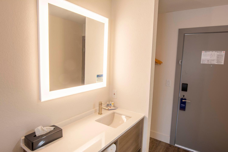 Bathroom 4, Comfort Inn Battle Mountain, Lander