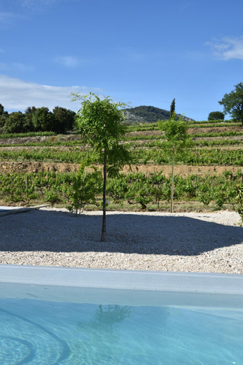 Sport & Beauty 4, Chambres d'hotes - Villa Evajade, Vaucluse