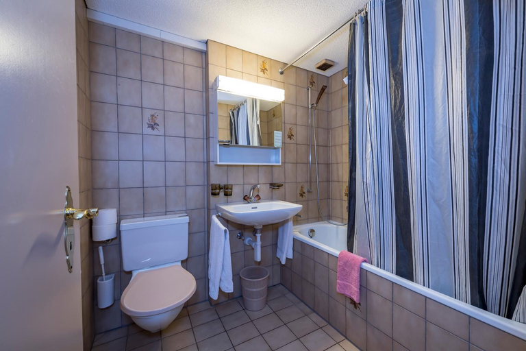 Bathroom 3, Berghotel Sellamatt, Toggenburg