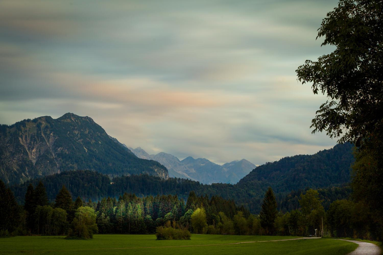 Others 4, Gastehaus Weller, Oberallgäu