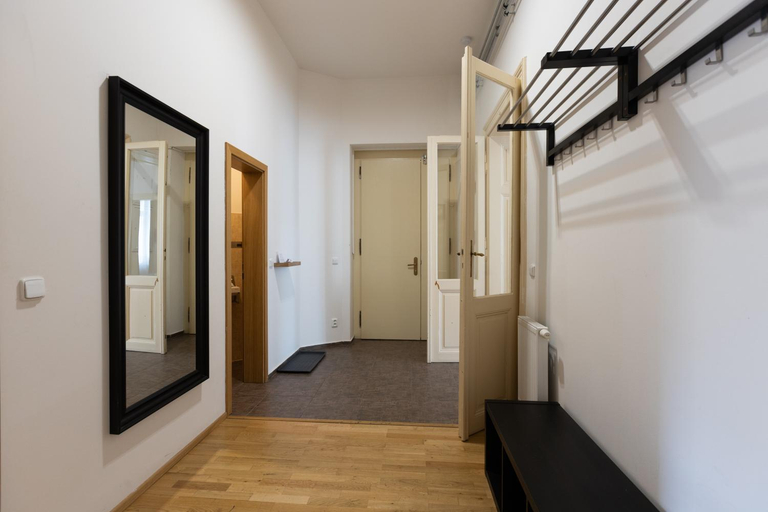 Others 5, Top Wenceslas Square Apartment, Praha 1