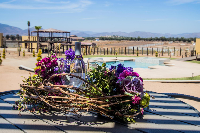Exterior & Views, Cuatro Lunas Hotel Boutique, Ensenada