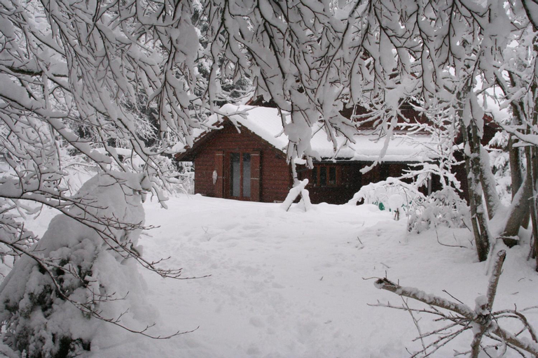 Chalet OTT - apartment in the mountains with sauna, Nyon