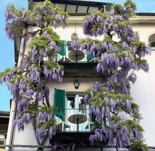 Exterior & Views 1, Locanda di Orta, Novara