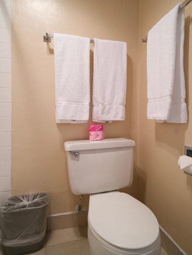 Bathroom 3, Village Inn, Lane