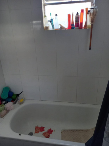 Bathroom 3, Espacio de arte fisico, Distrito Federal