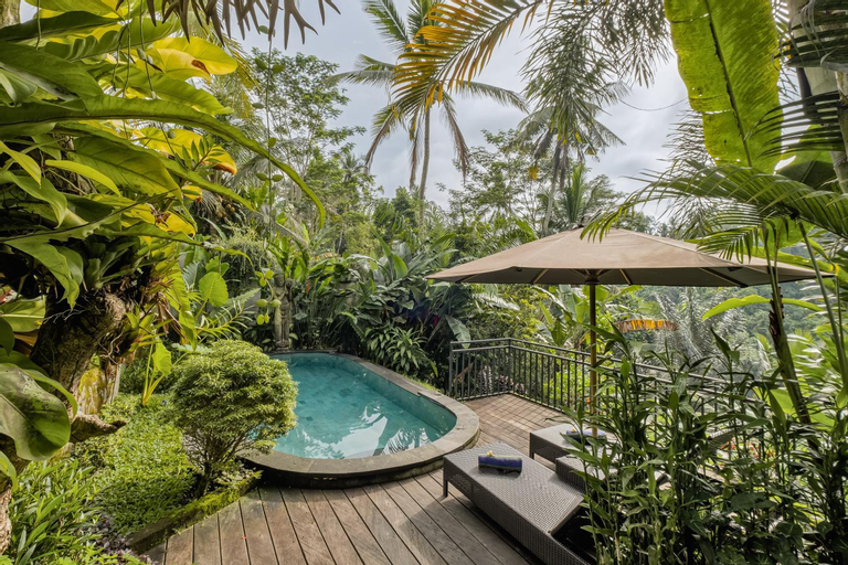 Swimming Pool 6
