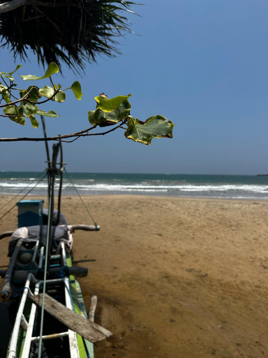 Others 4, Varan Mawella Beach Guest House, Tangalle
