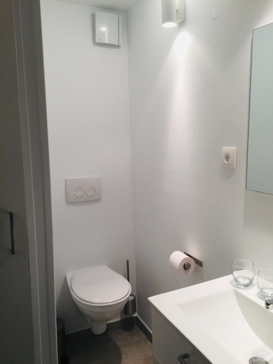 Bathroom 4, Aux pieds des vaches, Liège