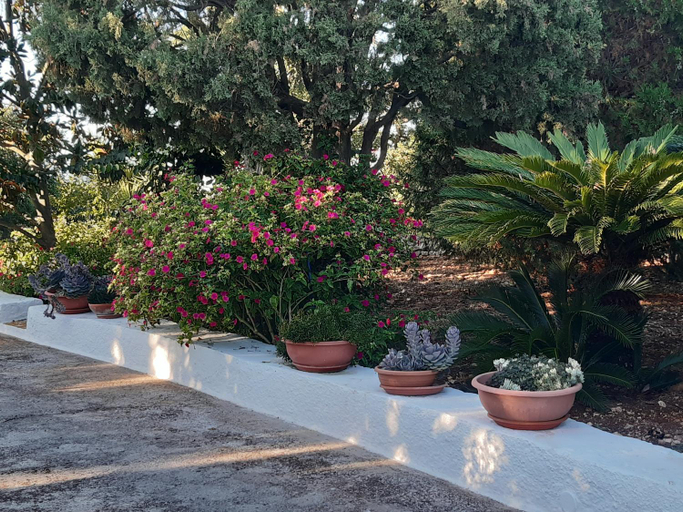 Others 2, B&B Bell'aria, Bari