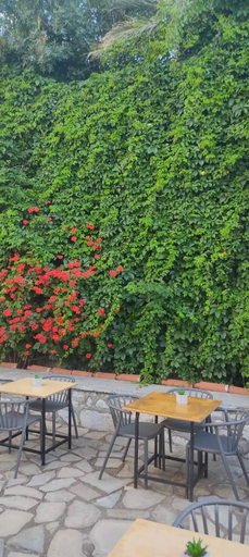 Food & Drinks, Anastasia Hotel, South Aegean