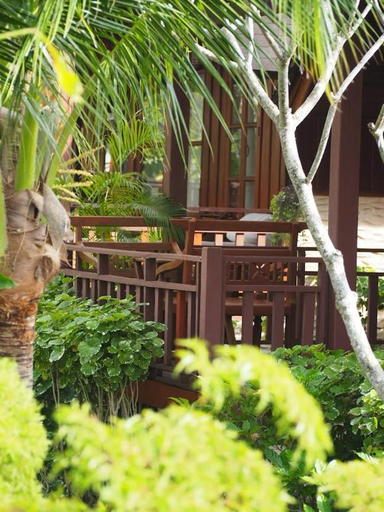 Scenery 14