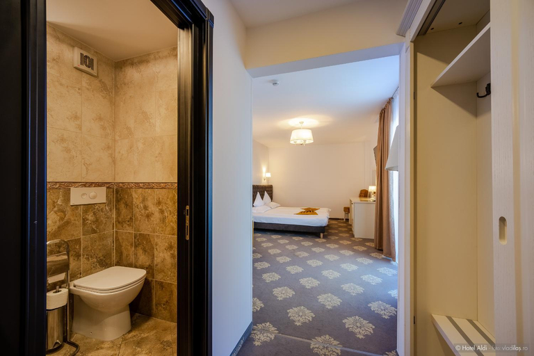 Bathroom 4, HOTEL ALDI, Paltinoasa