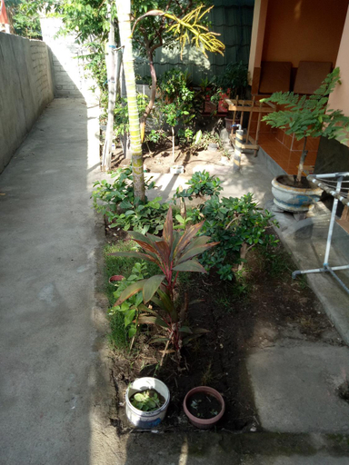 Others 3, Aladdin Homestay, Lombok
