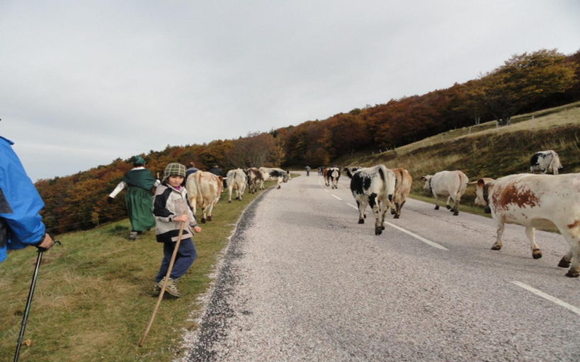 Others 5, Les Chantenees, Vosges