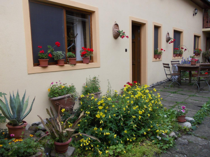 Others 5, Casa Lia, Sighisoara