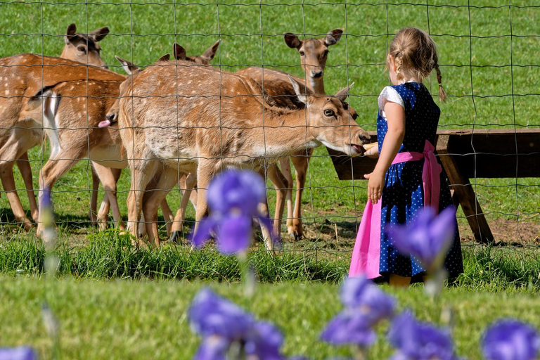 Others 2, Gasthof Hofbauer, Bruck-Mürzzuschlag