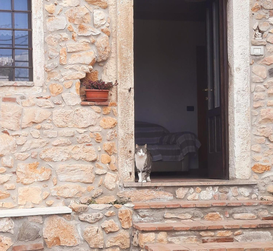 Exterior & Views 4, Al Colle Rooms, Vicenza