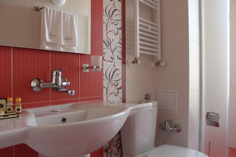Bathroom 3, Villa Paris, Hisar