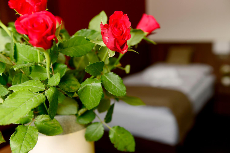 Bedroom 3, Hotel U Hada Zatec, Louny