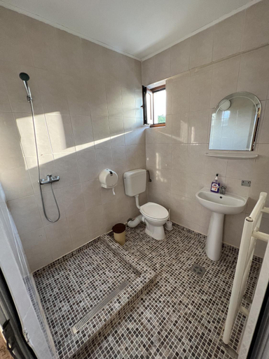 Bathroom 2, Hotel Monte Carlo, Mosoaia
