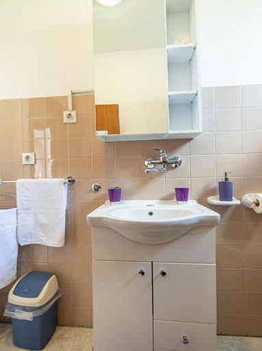 Bathroom 3, Apartments & Rooms Rendulic, Rakovica