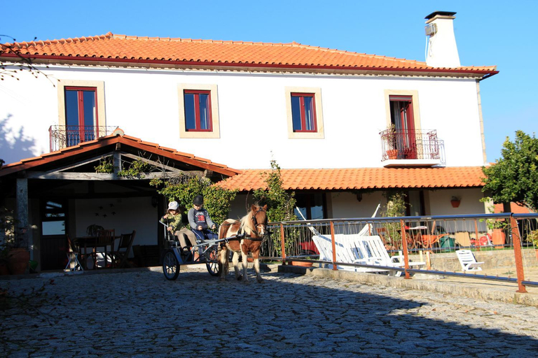 Others 5, Casa Paz do Outeiro, Paredes de Coura