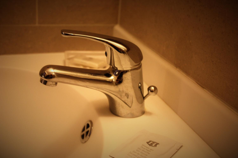 Bathroom 3, Olympic Mountains, Torino