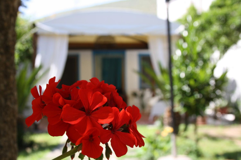 Facilities 5, Blue B&B, Latina