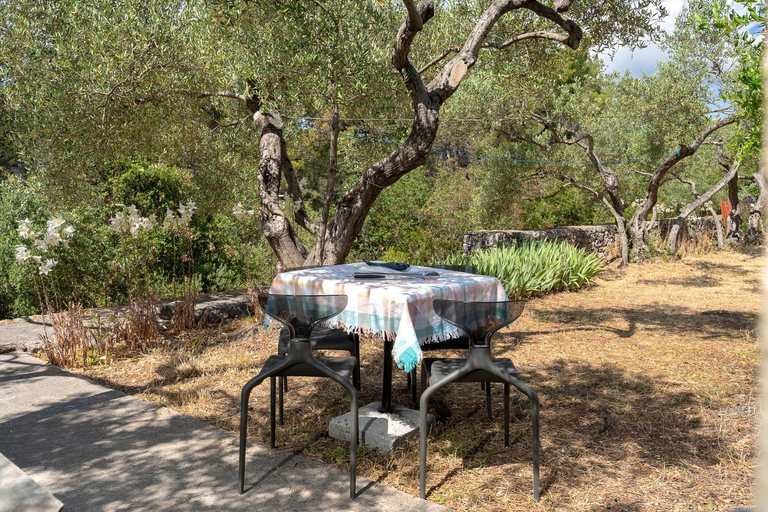 Others 4, Holiday Home Sansevic, Stari Grad