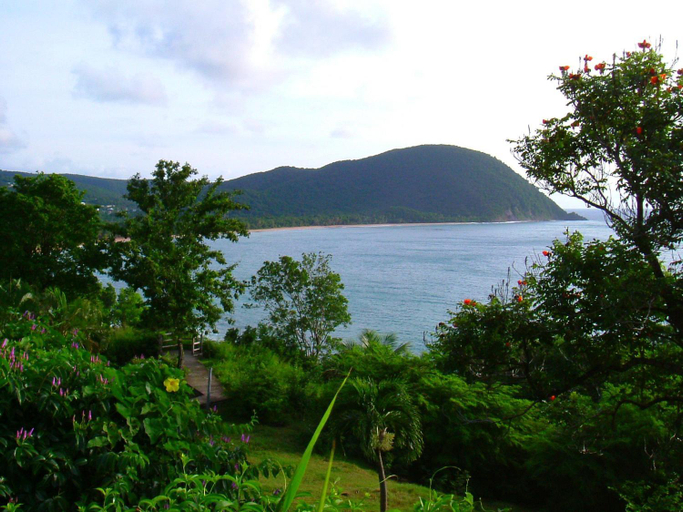 Others 5, La Baie du Bonheur, Deshaies
