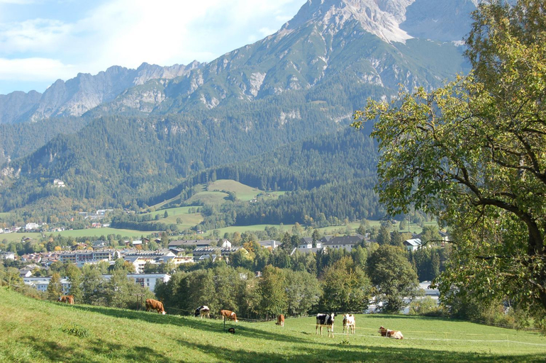 Others 3, Stillinghof, Zell am See