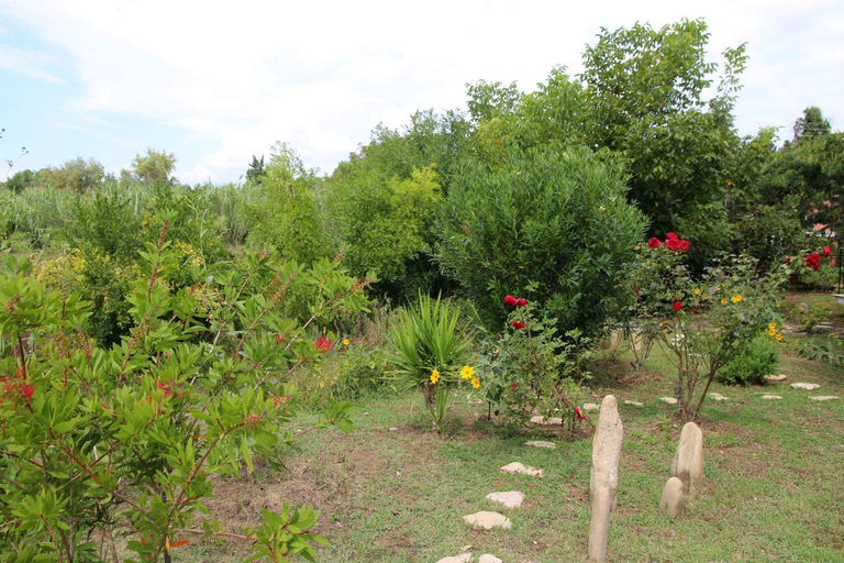 Others 2, Romeo & Juliet, Ionian Islands