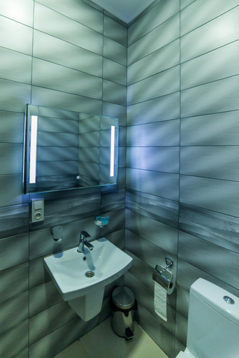 Bathroom 2, Hotel New Telavi, Telavi