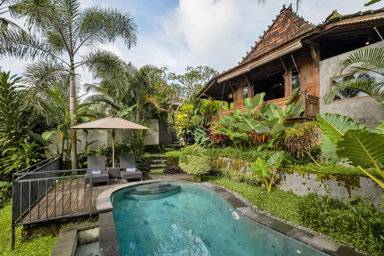 Swimming Pool 15