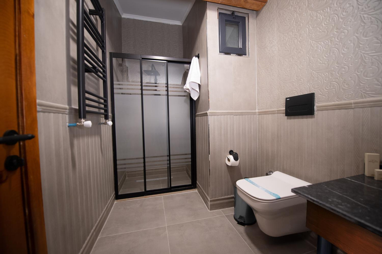 Bathroom 4, AHISKA PALAS OTEL, Merkez
