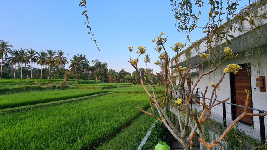Scenery 11