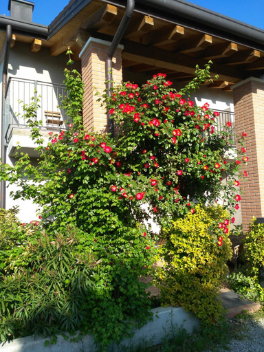 Others 5, B&B Marostica, Vicenza