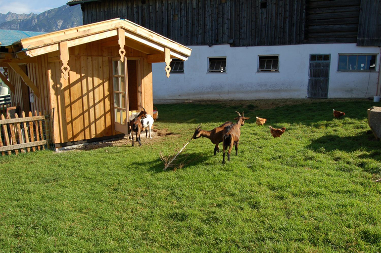 Others 5, Stillinghof, Zell am See