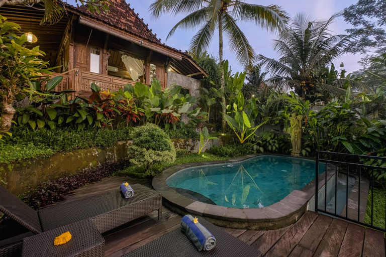 Swimming Pool 3