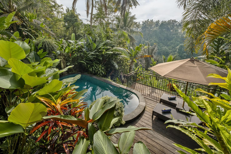 Swimming Pool 16