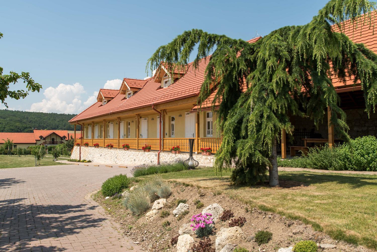 Others 3, Penzion Tokaj Ostrozovic, Trebišov