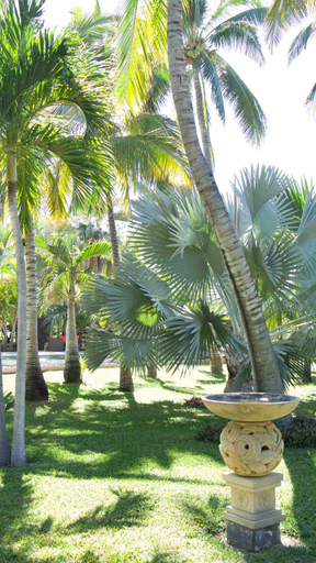 Others 5, Maison Mucuna Villa, Saint-Paul
