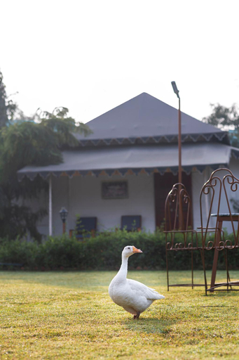 Others 5, Atithi Luxury Resort, Ajmer