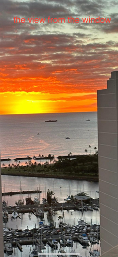Others 2, Waikiki High-rise sea view free parking, Honolulu