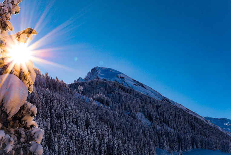 Others 4, Haus Hochland, Schwaz
