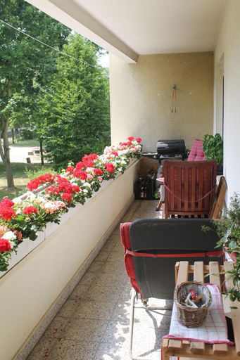 Others 5, Bed & Breakfast Bonn, Bonn