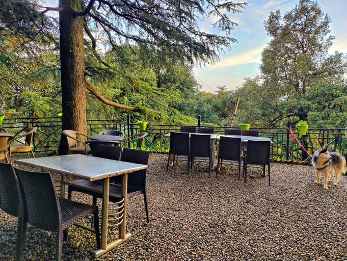 Food & Drinks 5, Jakhu Vibes Shimla , Shimla